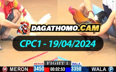 ĐÁ GÀ THOMO CPC1 NGÀY 19/04/2024