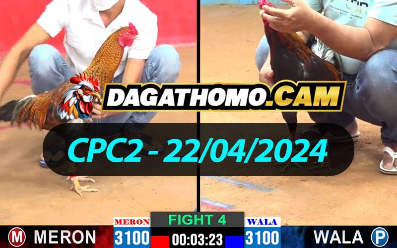 ĐÁ GÀ THOMO CPC2 NGÀY 22/04/2024