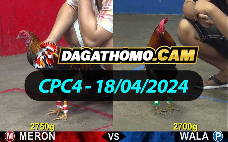 ĐÁ GÀ THOMO CPC4 NGÀY 18/04/2024