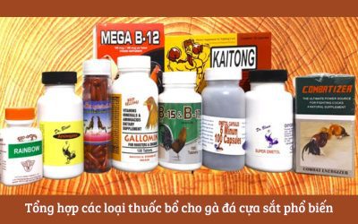 Đánh Bại Đối Thủ Với Sức Khỏe Tốt Nhờ Các Loại Thuốc Bổ Cho Gà Đá