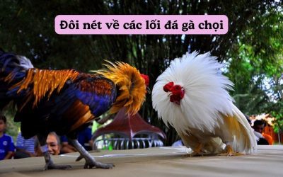 Khám Phá Các Lối Đá Gà Chọi Đa Dạng Hiện Nay