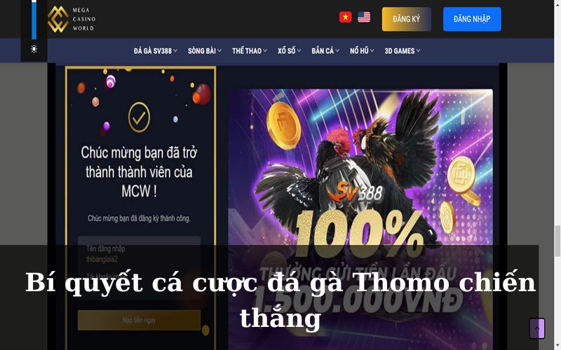 Kinh nghiệm tham gia cá cược đá gà Thomo hiệu quả và an toàn