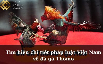 Tìm hiểu chi tiết pháp luật Việt Nam về đá gà Thomo