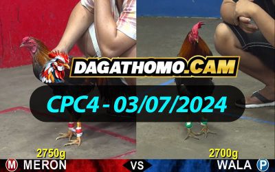 ĐÁ GÀ THOMO CPC4 NGÀY 03/07/2024