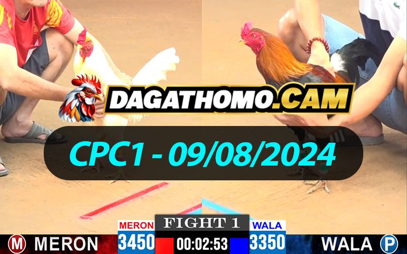 ĐÁ GÀ THOMO CPC1 NGÀY 09/08/2024