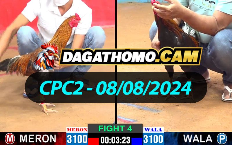 ĐÁ GÀ THOMO CPC2 NGÀY 08/08/2024