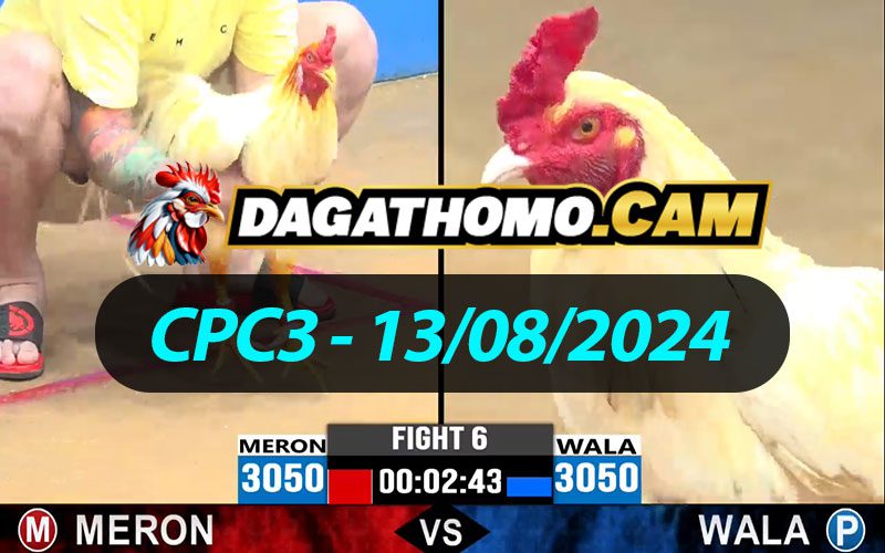 ĐÁ GÀ THOMO CPC3 NGÀY 13/08/2024