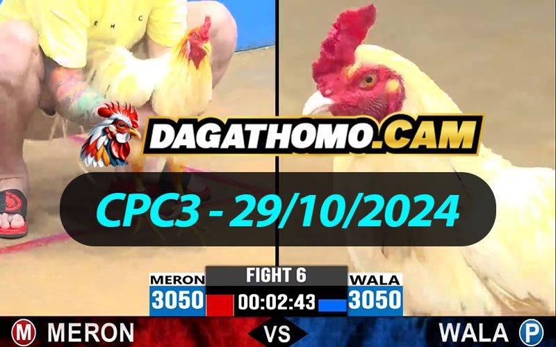 ĐÁ GÀ THOMO CPC3 NGÀY 29/10/2024