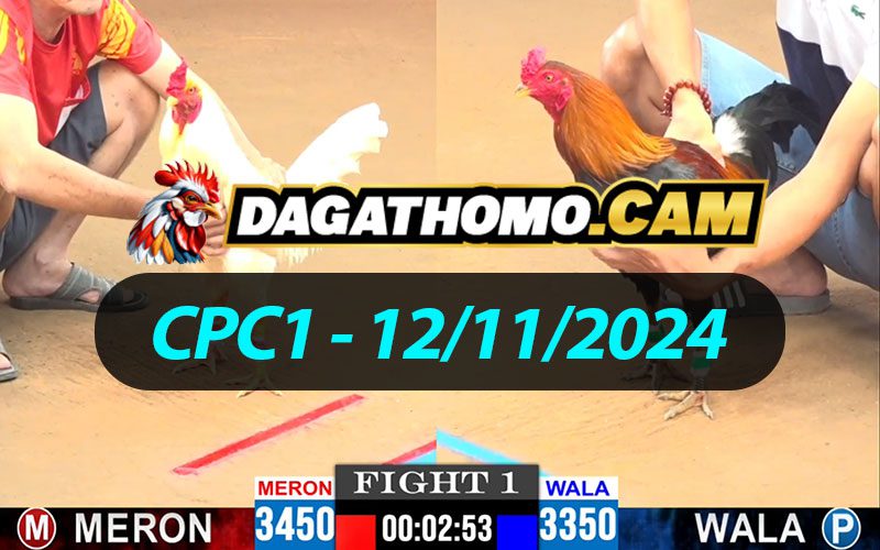 ĐÁ GÀ THOMO CPC1 NGÀY 12/11/2024