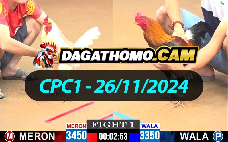 ĐÁ GÀ THOMO CPC1 NGÀY 26/11/2024