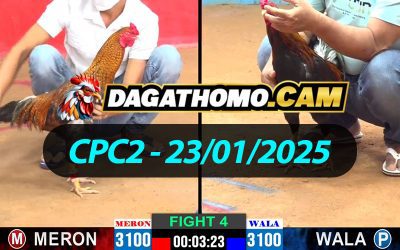 ĐÁ GÀ THOMO CPC2 NGÀY 23/01/2025