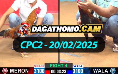 ĐÁ GÀ THOMO CPC2 NGÀY 20/02/2025