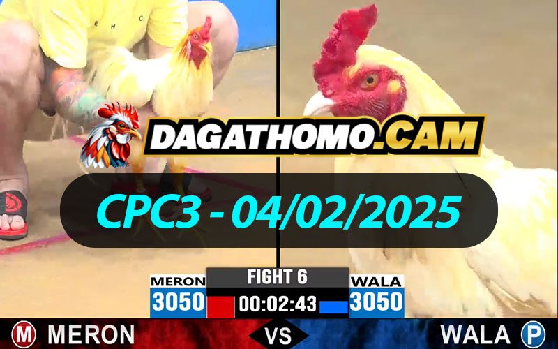 ĐÁ GÀ THOMO CPC3 NGÀY 04/02/2025