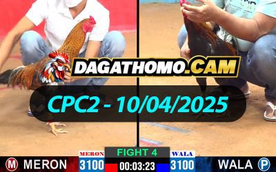 ĐÁ GÀ THOMO CPC2 NGÀY 10/04/2025