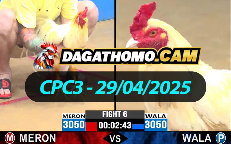 ĐÁ GÀ THOMO CPC3 NGÀY 29/04/2025