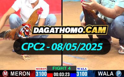 ĐÁ GÀ THOMO CPC2 NGÀY 08/05/2025