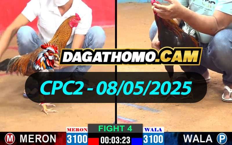 ĐÁ GÀ THOMO CPC2 NGÀY 08/05/2025