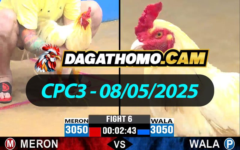 ĐÁ GÀ THOMO CPC3 NGÀY 08/05/2025