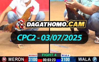 ĐÁ GÀ THOMO CPC2 NGÀY 03/07/2025