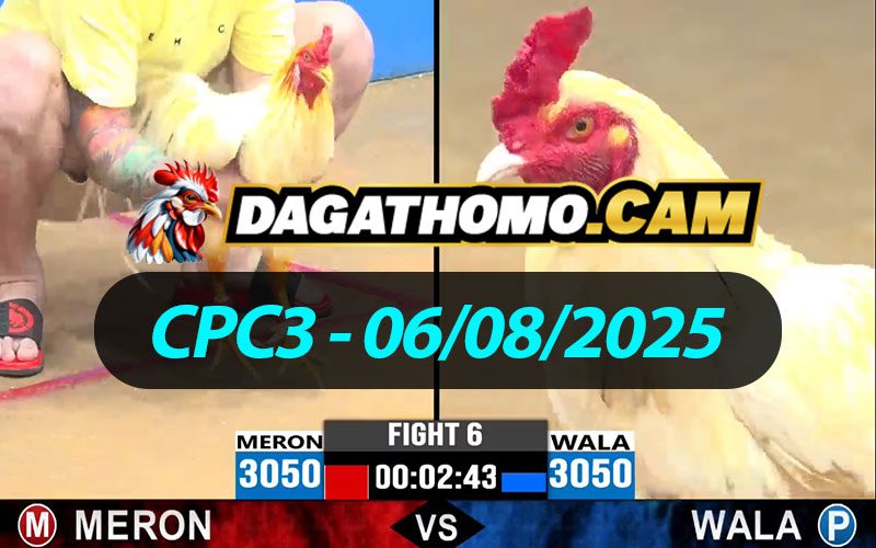 ĐÁ GÀ THOMO CPC3 NGÀY 06/08/2025